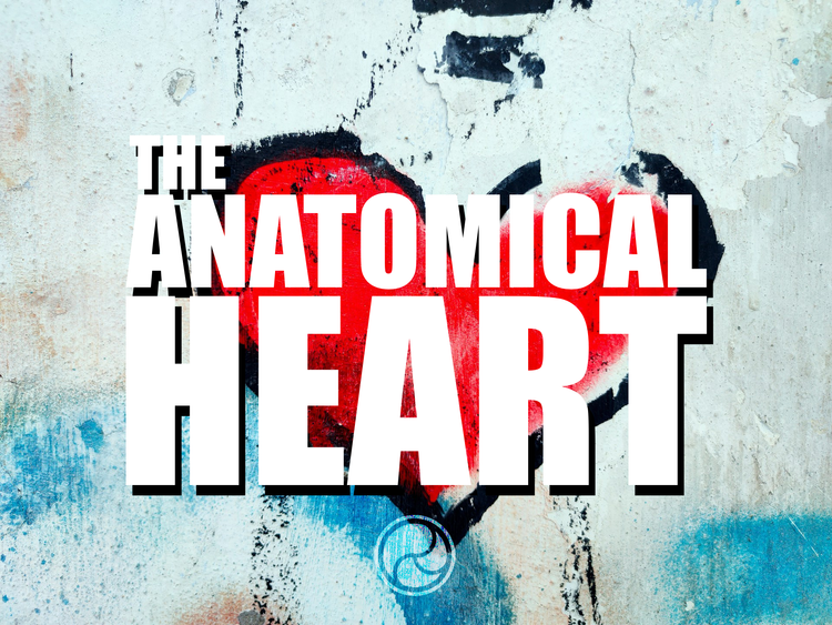 Text "The Anatomical Heart" superimposed on graffiti of a red heart with a black border.