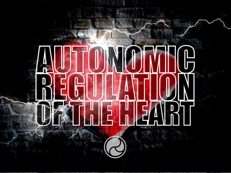 Autonomic Regulation of the Heart