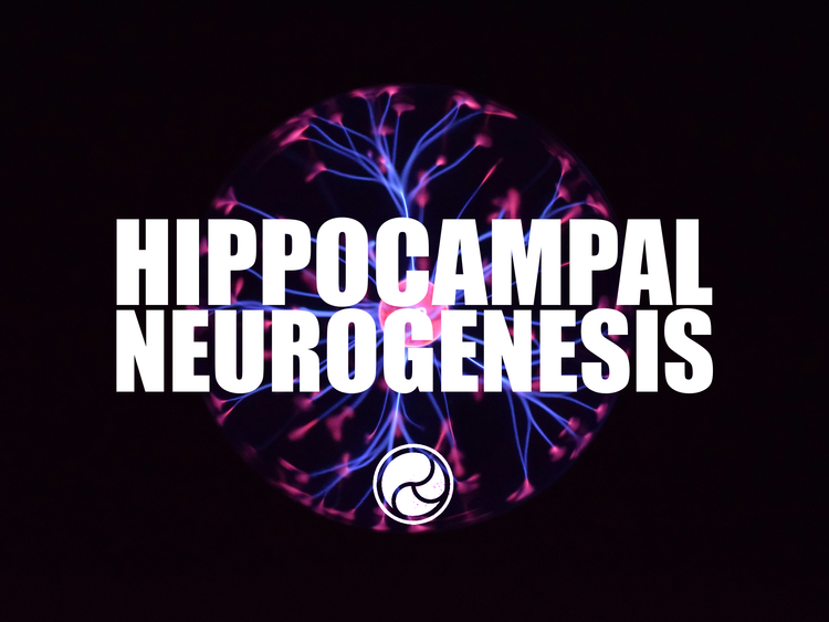 Hippocampal Neurogenesis