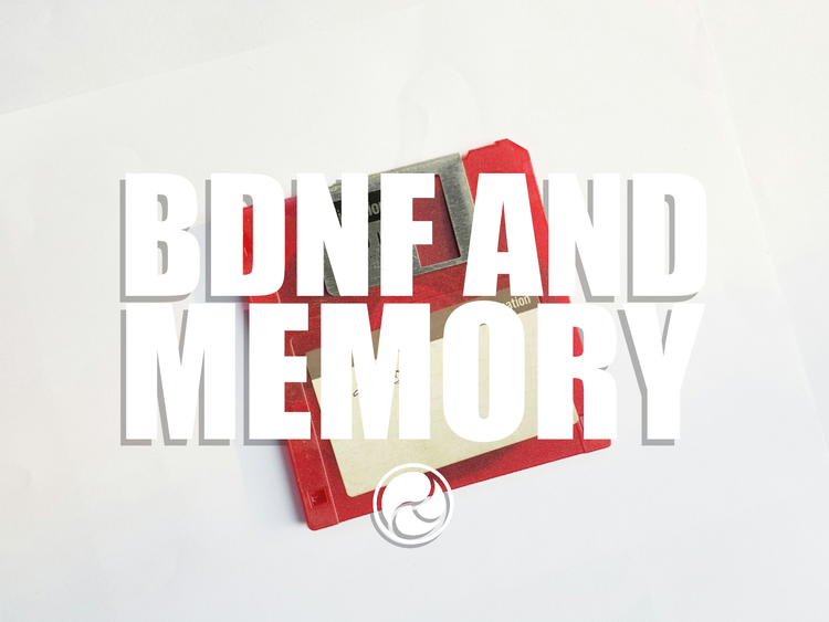 BDNF and Memory