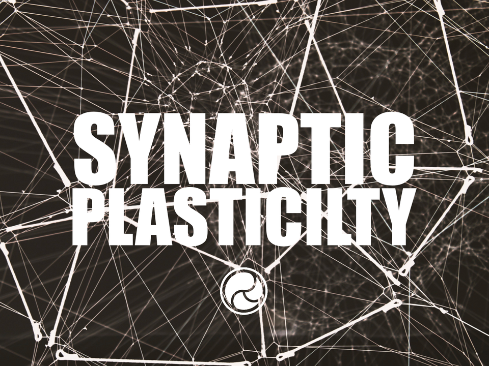 Synaptic Plasticity