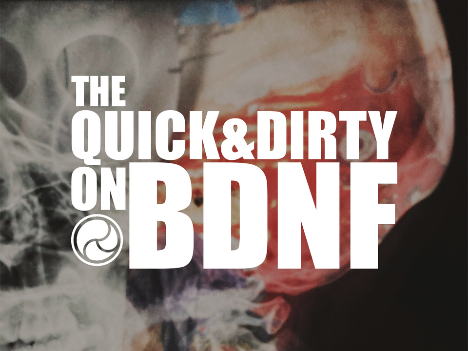 The Quick and Dirty on BDNF